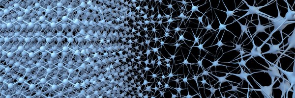 HongNeuroTech Profile Banner