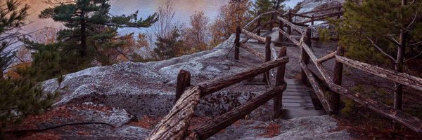 DavidBroderDO Profile Banner