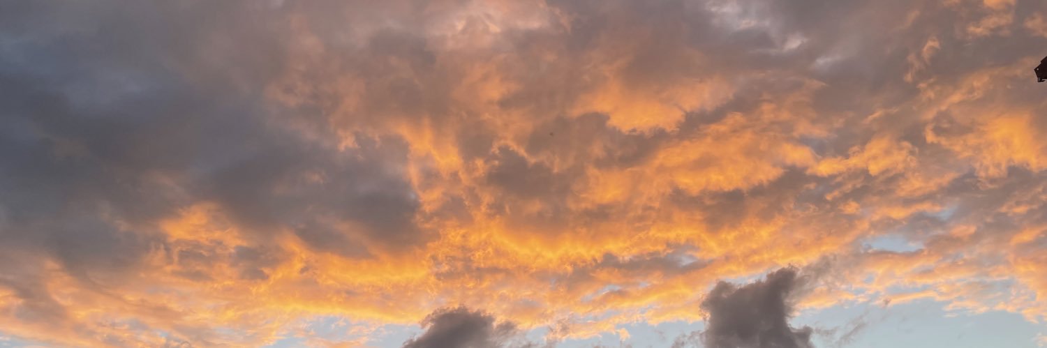 ROBBYONCE's profile banner image