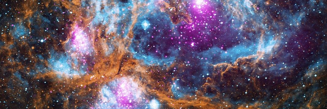 𝔹𝕖𝕣𝕕𝕦𝕤ℍ banner