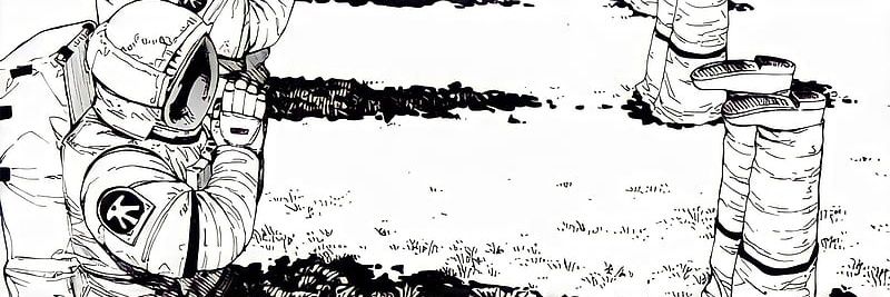 Carpe banner