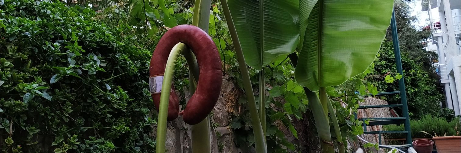 spermtacus's profile banner image