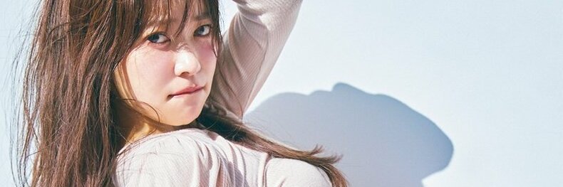 Nolo banner