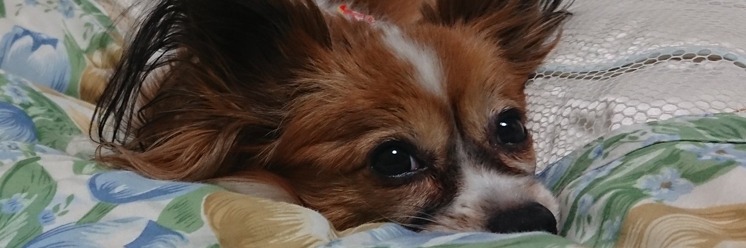 華菱よいや banner