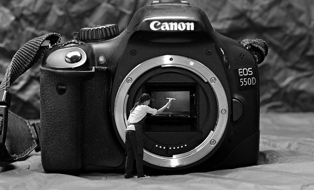 79955's profile banner image