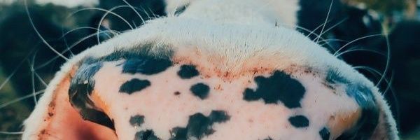 LolaCMarquez's profile banner image