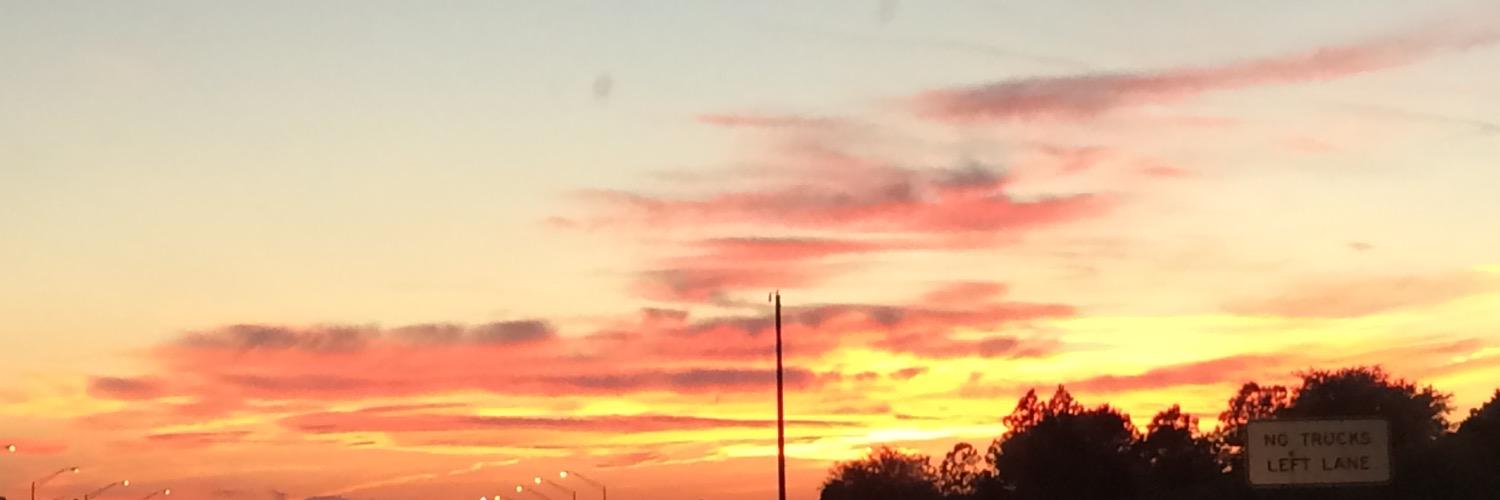 nans16's profile banner image