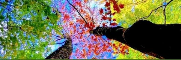 CrisLee99 Profile Banner