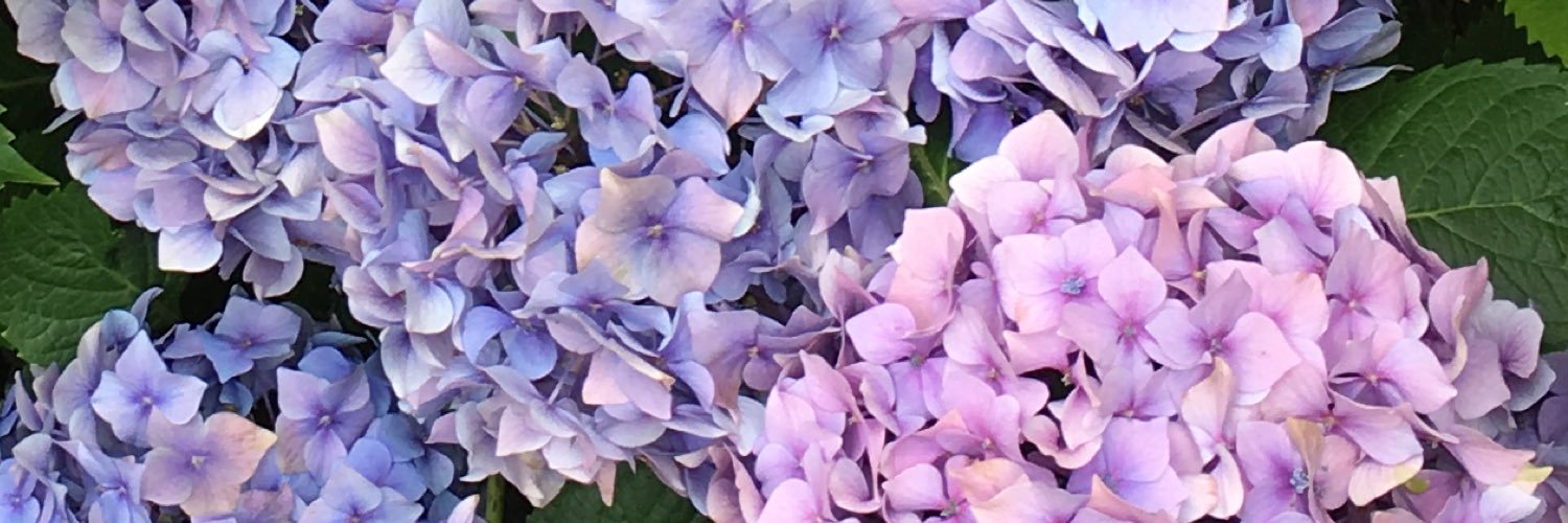 florentina1978's profile banner image
