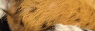 youronefor's profile banner image