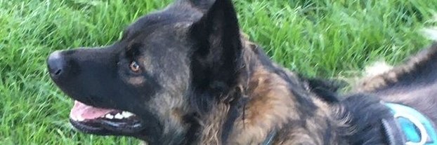 Kazmataz77's profile banner image