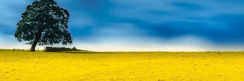 rona_metters's profile banner image