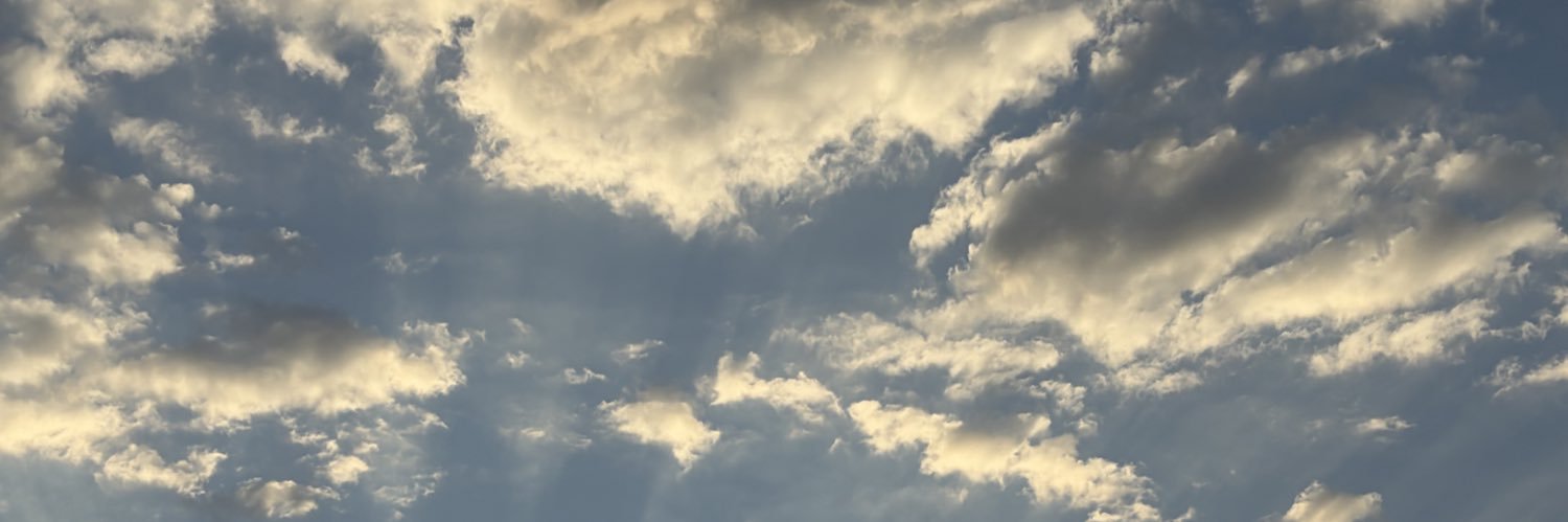 daniivelasco's profile banner image