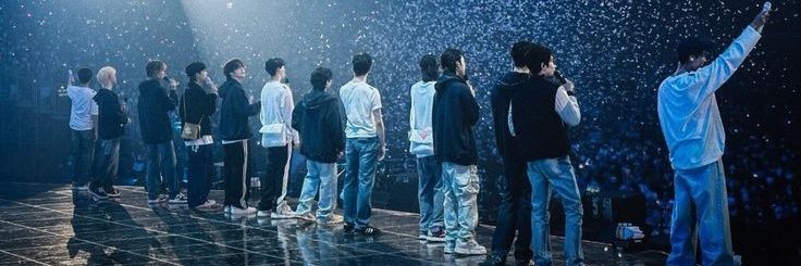 vvienflrs's profile banner image