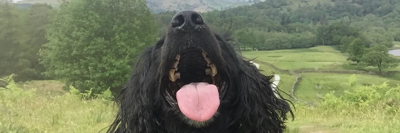 Jettydo's profile banner image