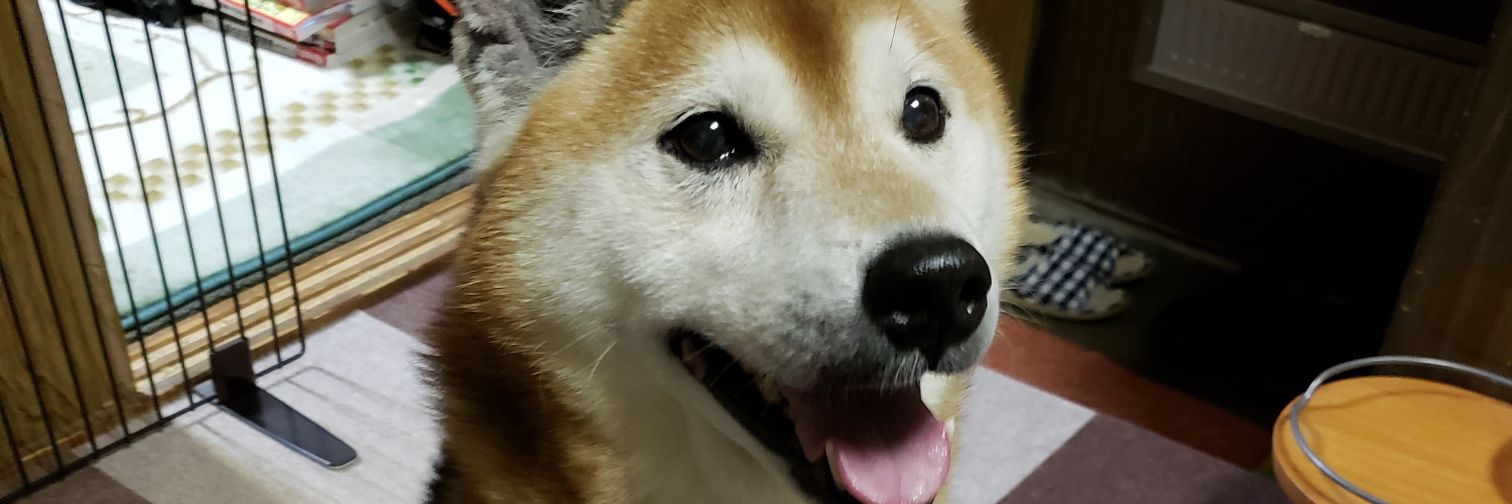 ヒデキチ2号さん banner