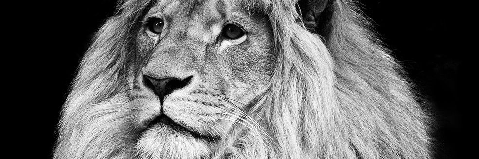 MbaaleThabo's profile banner image