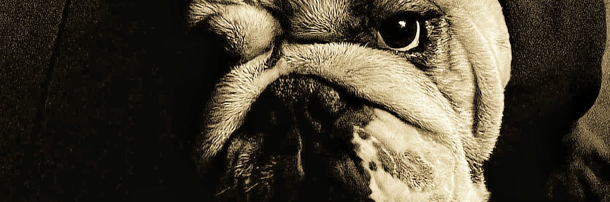 rottweiler_ag's profile banner image