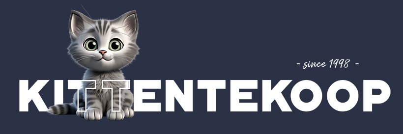 KittenTeKoop's profile banner image