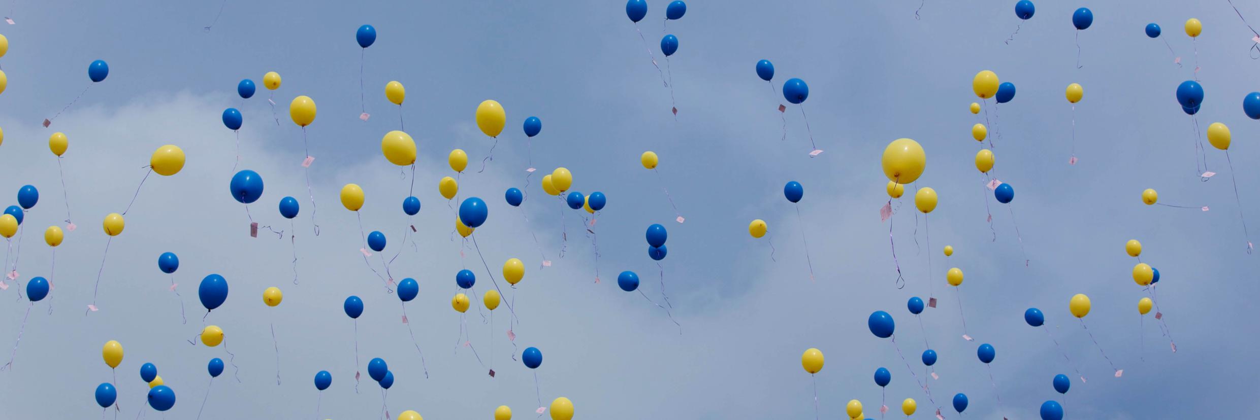 FriendsofStB banner