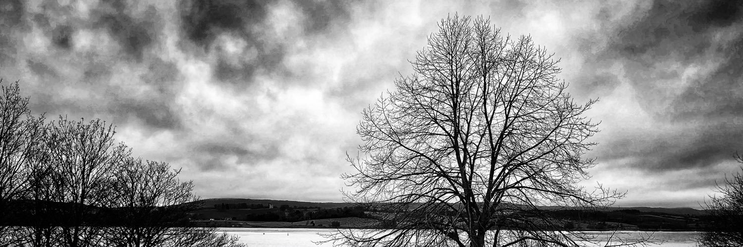 ⚓️ Dr Vic Carr ⚓️ banner