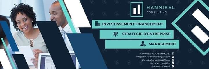 HANNIBAL CONSULTING banner
