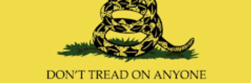 ɹǝɟɟnɐʇS uoplǝɥS banner