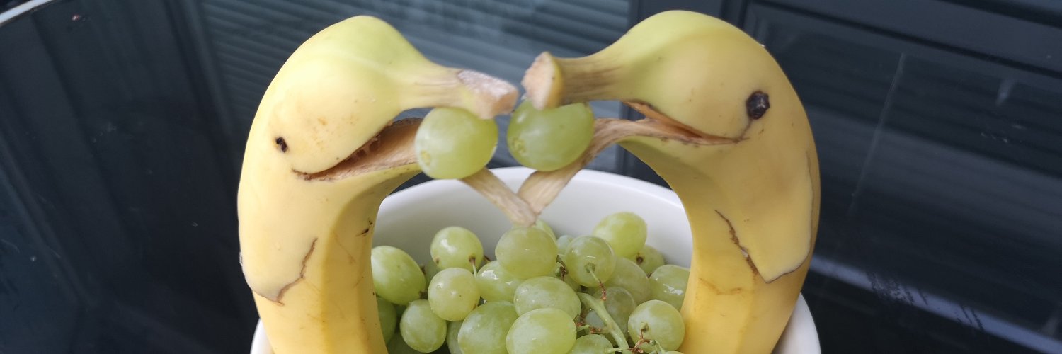 Paulina Nowicka banner