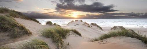 Mrs Lambert REMAT banner