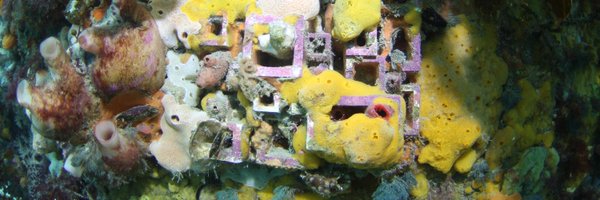 AlexGoad8 Profile Banner