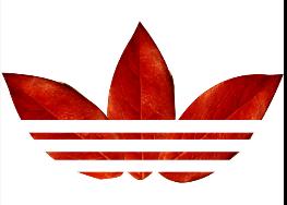 joseluiss49's profile banner image