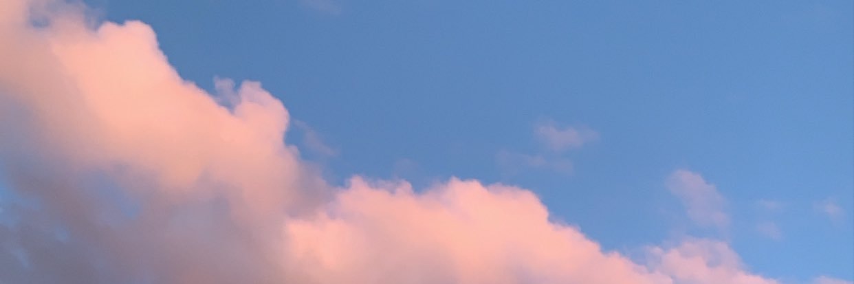 𝓛 banner