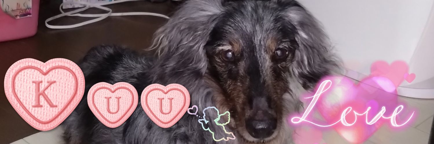 ☪️空-sora.ハンドメイド好き🦄💜🌈🌟🐕🐾 banner