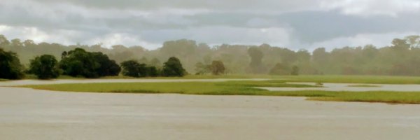 InfoAmazoniaBR Profile Banner