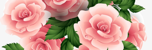 alishalapy3's profile banner image