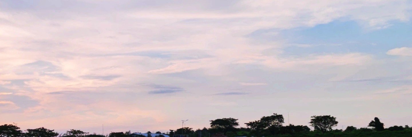 dryyy 🍂 banner