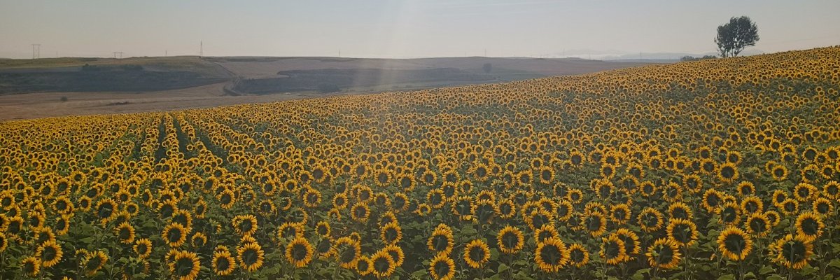 Saradelgd's profile banner image