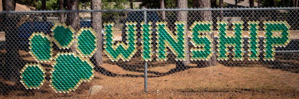 WinshipES Profile Banner