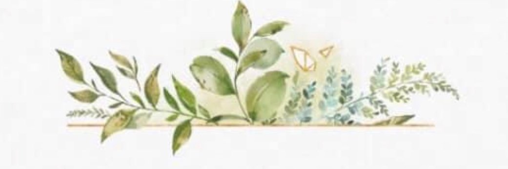 C h r i s banner