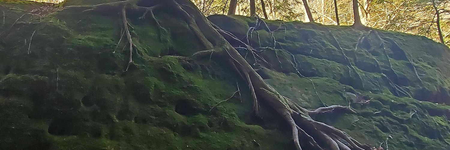 BEG4me's profile banner image
