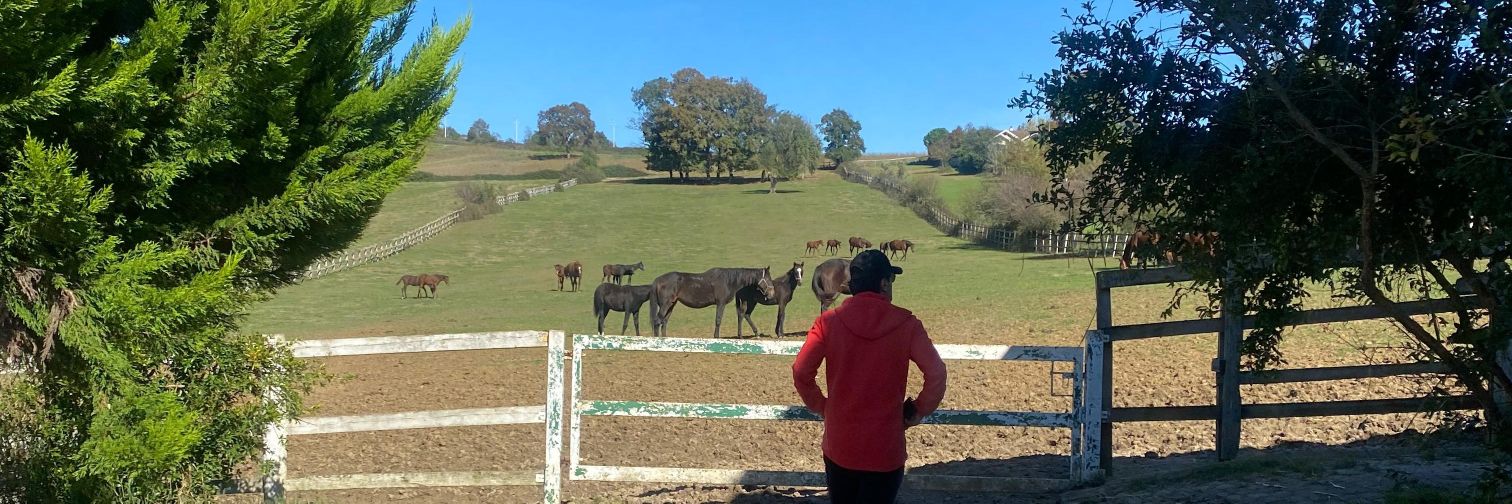 BLACK ILLUSION banner