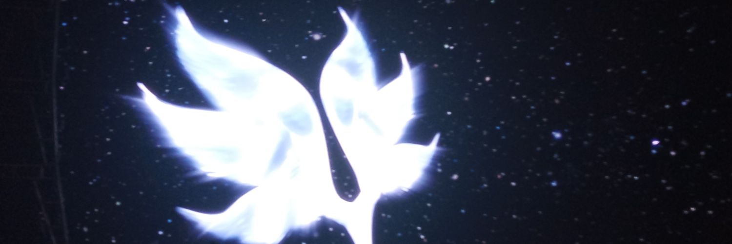 pin_pen's profile banner image