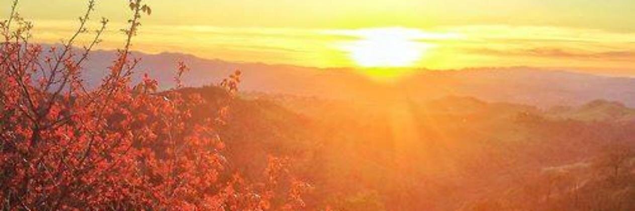 Gladiaaa's profile banner image