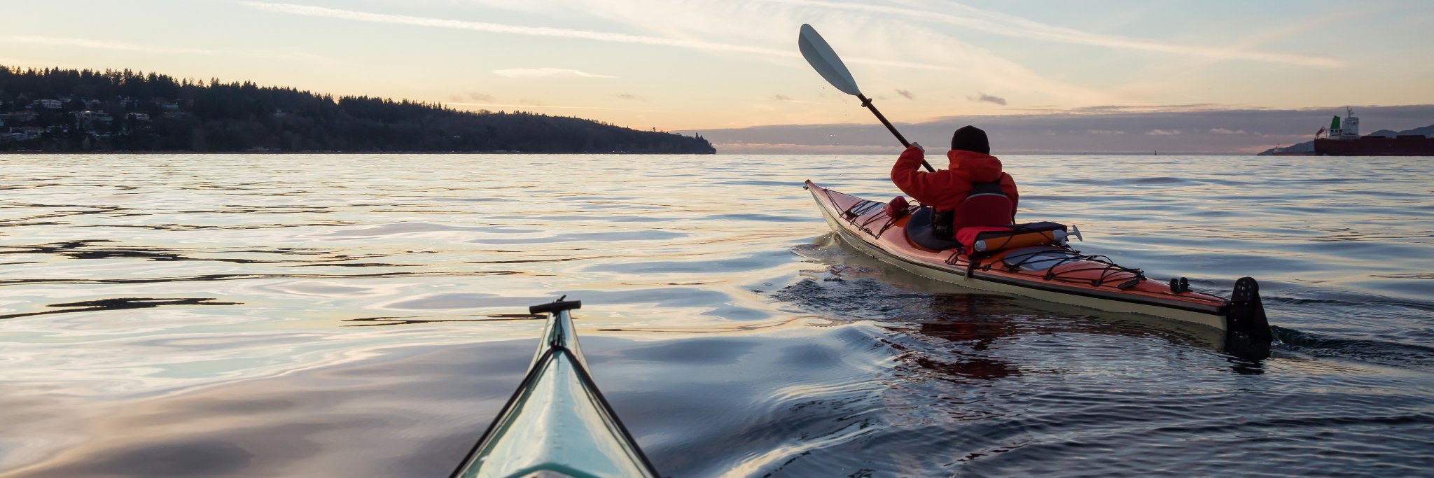 Occupation_Wild banner