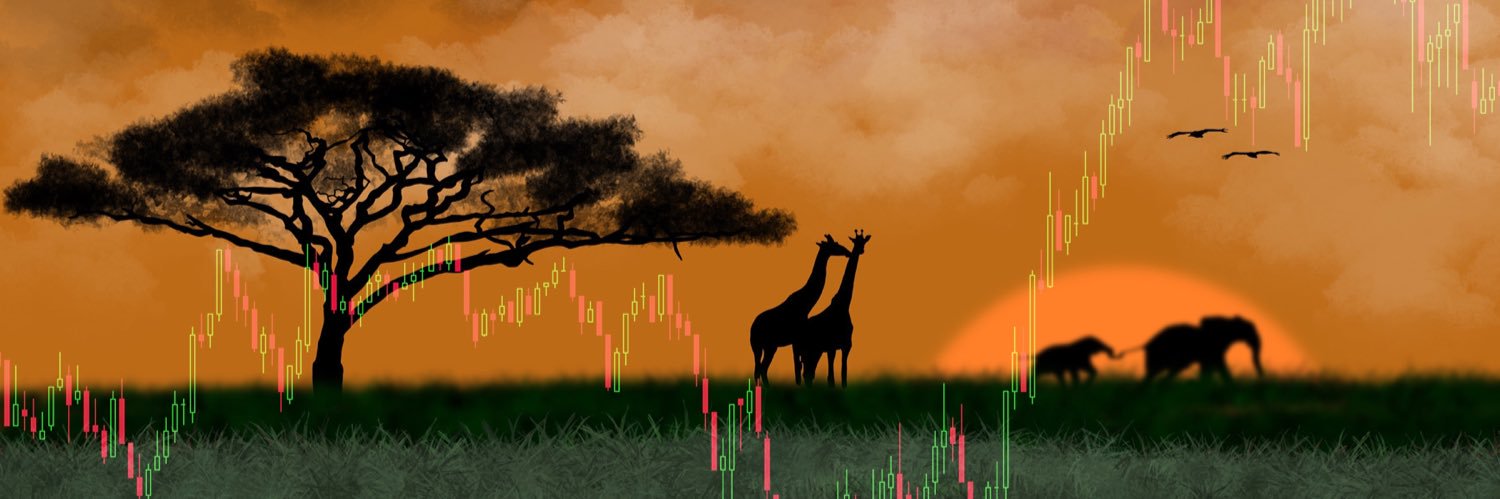 CheetahsTrading's profile banner image