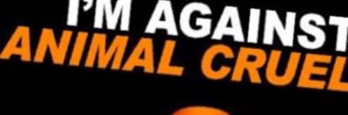 Deb banner