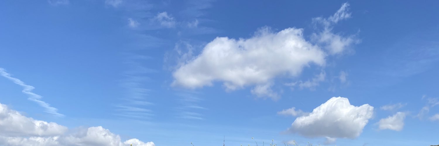 izzzyism's profile banner image