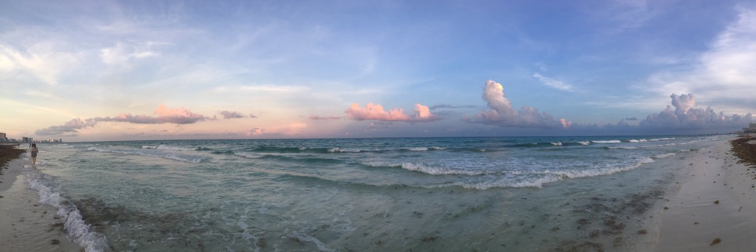 wavypalababy's profile banner image
