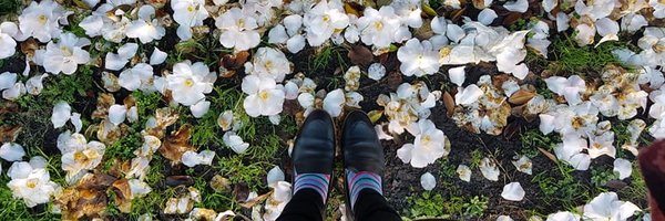 tesstastical Profile Banner