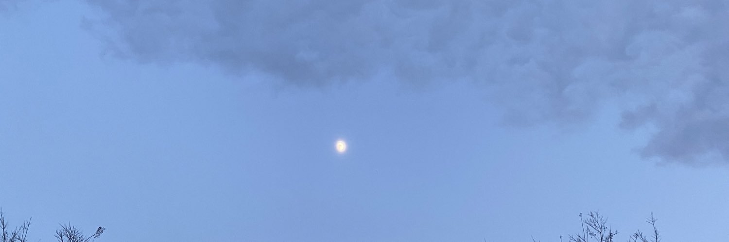 thetoriwalker's profile banner image